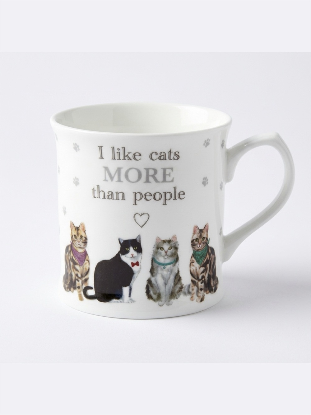 I Like Cats More Than People Fine China Mug Made in England Cat Lover Gift NW